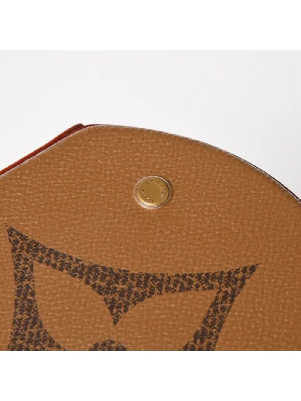 Louis Vuitton Cannes Vanity Monogram Giant Brown Reverse Shoulder Bag